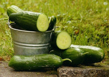 Load image into Gallery viewer, Cucumber Ashley