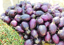 Load image into Gallery viewer, Eggplant Indian Small Round (Thai Purple Baby Eggplant)