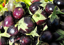 Load image into Gallery viewer, Eggplant Indian Small Round (Thai Purple Baby Eggplant)
