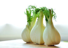 Load image into Gallery viewer, Fennel Florence