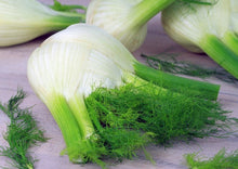 Load image into Gallery viewer, Fennel Florence