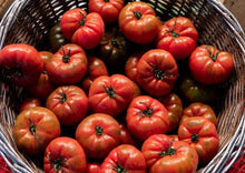 Load image into Gallery viewer, Tomato Collection Value Pack (10 Varieties)