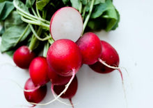 Load image into Gallery viewer, Radish Champion