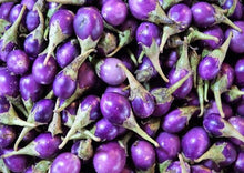 Load image into Gallery viewer, Eggplant Indian Small Round (Thai Purple Baby Eggplant)