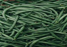 Load image into Gallery viewer, Beans Black Valentine Bush