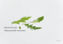 Load image into Gallery viewer, Wild Arugula
