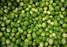 Load image into Gallery viewer, Brussel Sprouts - Long Island Improved