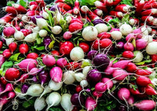 Load image into Gallery viewer, Radish Cherry Belle Premium