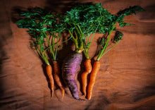 Load image into Gallery viewer, Carrot Collection Value Pack (3 Varieties)