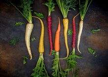 Load image into Gallery viewer, Carrot Purple Dragon