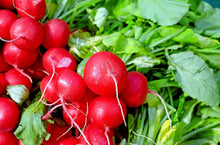 Load image into Gallery viewer, Radish Collection Value Pack (4 Varieties)