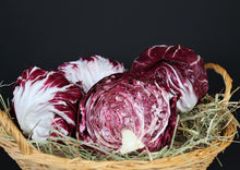 Load image into Gallery viewer, Cabbage Red Acre