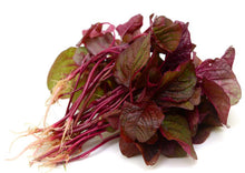 Load image into Gallery viewer, Amaranth Red Stem/ Red Thandu Keerai / Totakoora