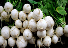 Load image into Gallery viewer, Radish Hailstone