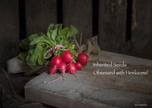 Load image into Gallery viewer, Radish Collection Value Pack (4 Varieties)