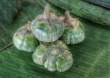 Load image into Gallery viewer, Eggplant Petch Siam (Nellore Brinjal)