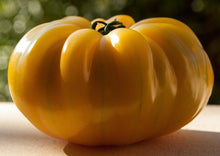 Load image into Gallery viewer, Tomato Large Amana Orange (2 LB+)