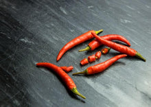 Load image into Gallery viewer, Chilli Ring O' Fire