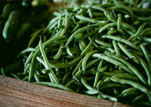 Load image into Gallery viewer, Beans Black Valentine Bush