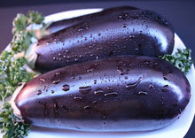 Load image into Gallery viewer, Eggplant Black Beauty
