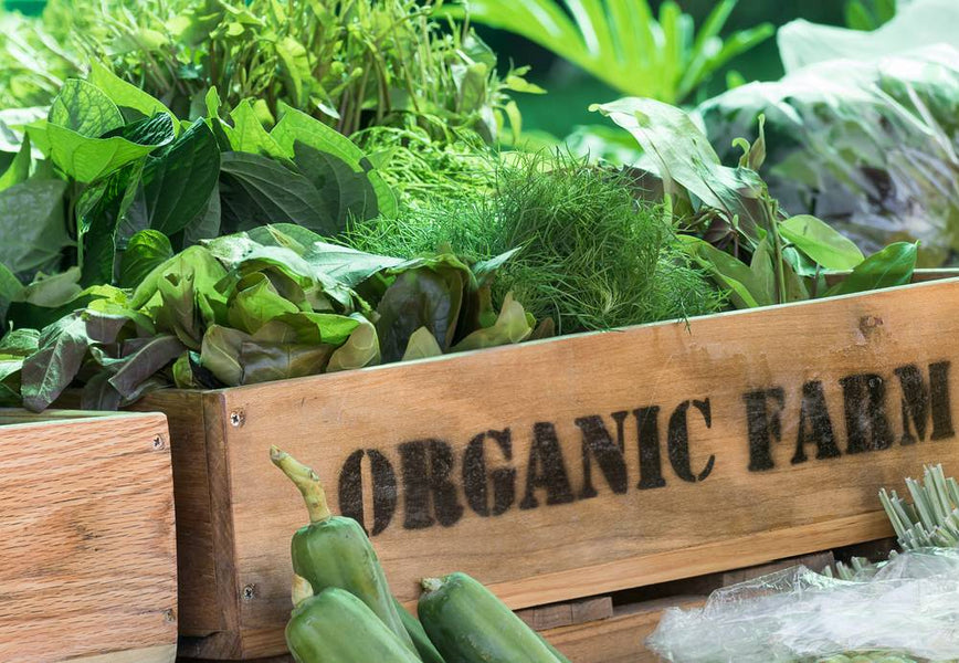 Grow Your Own Organic Vegetables in a Sustainable way.