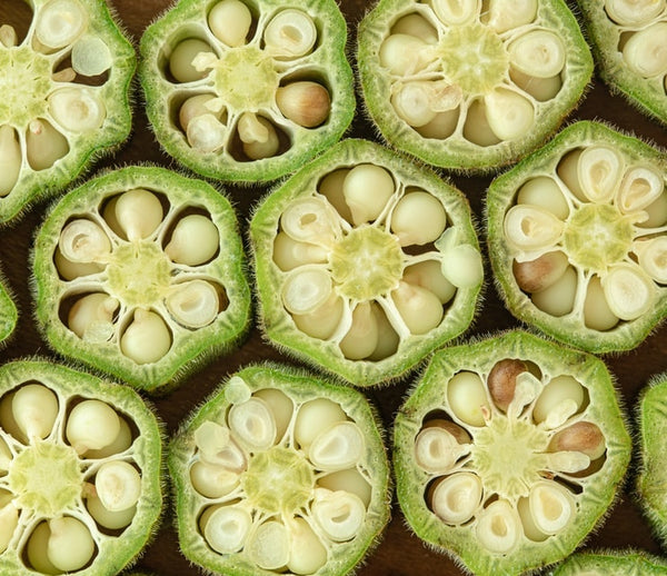 105: Growing Okra Tips and Troubleshooting Problems
