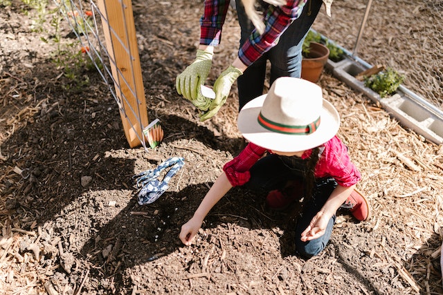 Organic Gardening for Beginners: Getting Started and Overcoming Common Challenges