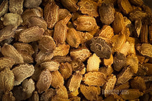 Load image into Gallery viewer, Indian Bitter Gourd / Karela
