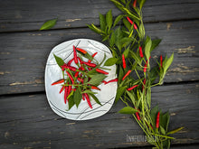 Load image into Gallery viewer, Chilli Jwala-Authentic Indian Hot Pepper
