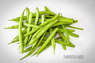 Inherited Seeds Heirloom Cluster Beans (Goru Chikkudu) seeds packet – organic open pollinated vegetable seeds