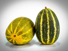 Load image into Gallery viewer, Heirloom Striped Dosakai cucumber – Indian cooking cucumber used in sambar and curries
