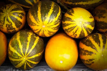 Load image into Gallery viewer, Striped Dosakai cucumbers (Andhra cucumber / Dosakaya) heirloom Indian cucumber variety
