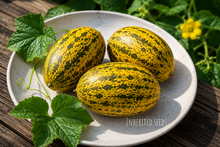 Load image into Gallery viewer, Striped Dosakai Seeds – Andhra Cucumber / Sambar Dosakaya
