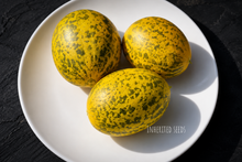 Load image into Gallery viewer, Striped Dosakai Seeds – Andhra Cucumber / Sambar Dosakaya
