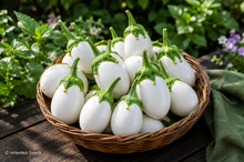 Load image into Gallery viewer, Eggplant White Egg
