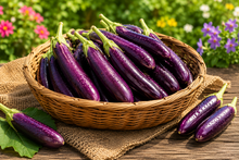 Load image into Gallery viewer, Eggplant Indian Purple Long
