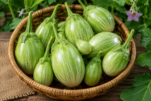 Load image into Gallery viewer, Eggplant Nellore Green Bhartha | Indian Green Brinjal
