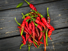 Load image into Gallery viewer, Chilli Kashmiri
