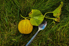 Load image into Gallery viewer, Dosakai / Indian Cucumber / Lemon Cucumber
