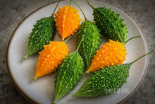 Load image into Gallery viewer, Indian Mini Bitter Gourd Seeds (Karela) – Heirloom Mini Bitter Melon, Momordica charantia
