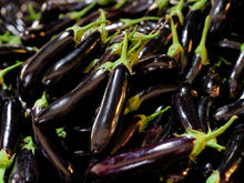 Load image into Gallery viewer, A close-up pile of glossy dark purple eggplants with green stems visible on several pieces.
