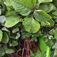 Amaranth Indian Red Stem / Red Thandu keerai