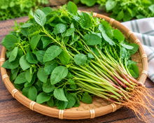 Load image into Gallery viewer, Mulai Keerai Seeds – Green Amaranth
