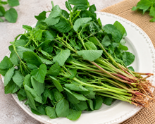 Load image into Gallery viewer, Mulai Keerai Seeds – Green Amaranth
