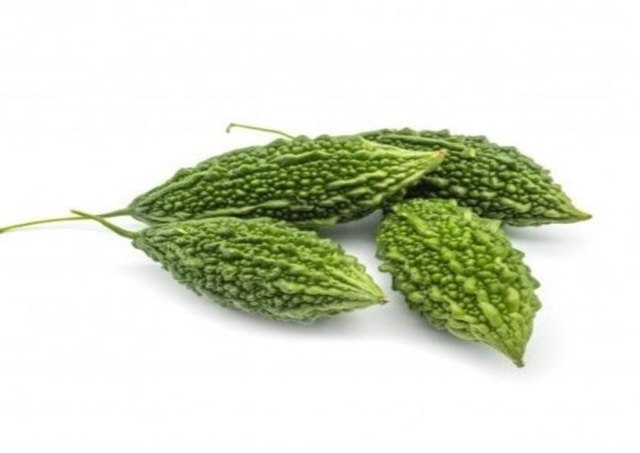 karela plant seeds Indian Bitter Gourd Seeds (Karela) – Heirloom Bitter Melon, Momordica charantia 1 Pack (10 Seeds)