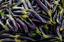 Load image into Gallery viewer, Indian Purple Long Eggplant, Purple Long Eggplant, Indian Eggplant, Indian Brinjal, Karnataka Brinjal, Karnataka Vegetable Seeds, Badanekayi Seeds, Baingan Seeds, Purple Eggplant, Open Pollinated Eggplant, Long Eggplant, South Indian Vegetables, Indian Vegetable Seeds, Solanum melongena
