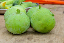 Load image into Gallery viewer, Indian Apple Gourd / Tinda Gourd
