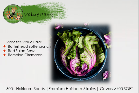 Lettuce Collection Value Pack (3 Varieties)