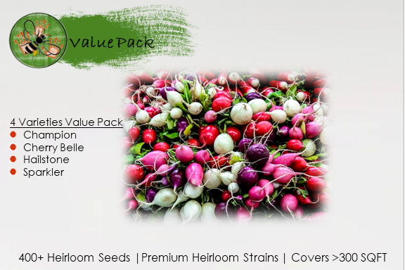 Radish Collection Value Pack (4 Varieties)