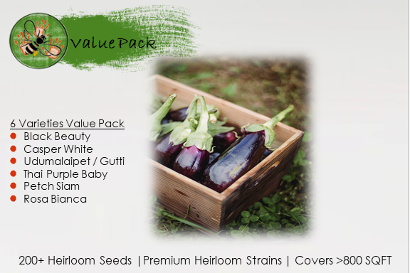 Eggplant Collection Value Pack (6 Varieties)
